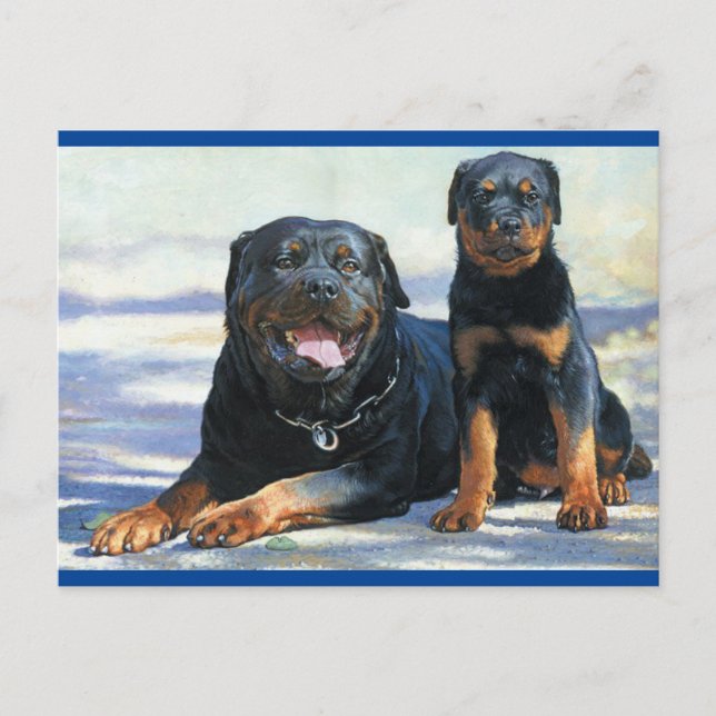 Carte postale blanche de chien chiot Rottweiler (Devant)