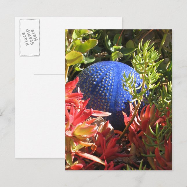 Carte postale blanche Succulente Plante Garden (Devant / Derrière)