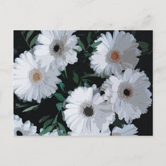 Carte Postale Blancs de Gerbera (Devant)