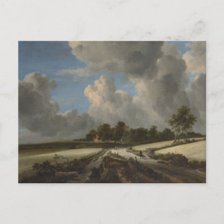 Carte Postale Blé Fields par Jacob van Ruisdael Art Imprimer