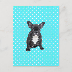 Carte Postale Bleu Chien à Chien à Chien Bleu Pois mignon
