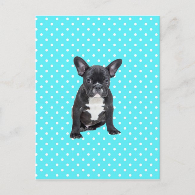 Carte Postale Bleu Chien à Chien à Chien Bleu Pois mignon (Devant)
