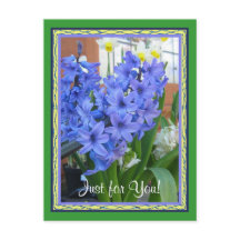bleu hyacinthe