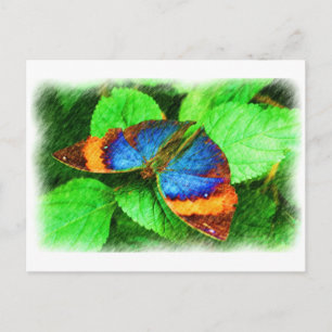 Carte postale bleue d'art de crayon de papillon