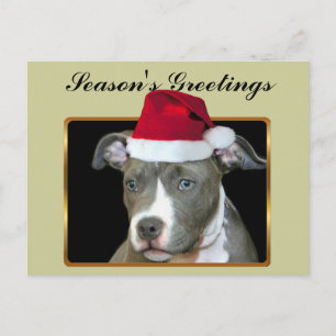 Carte postale bleue de chiot de pitbull de Bonnes