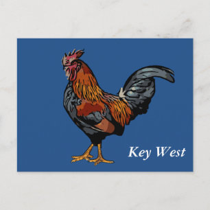 Carte postale bleue de Key West de coq