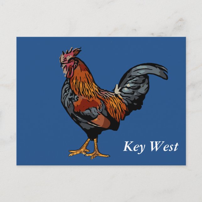 Carte postale bleue de Key West de coq (Devant)