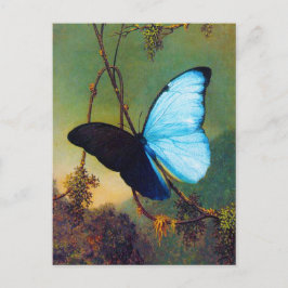 Carte postale bleue de papillon de Morpho