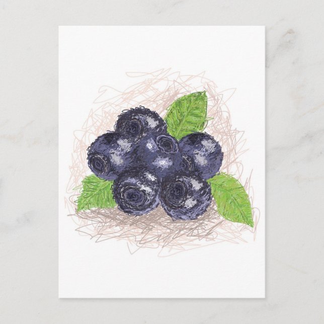 Carte Postale bleuet (Devant)