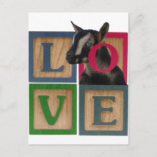 CARTE POSTALE BLOCS CHÈVRE D'AMOUR