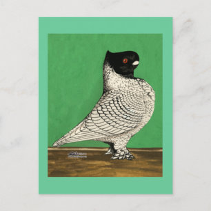 Carte Postale Blondinette Frill Pigeon