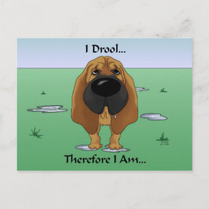 Carte Postale Bloodhound - Je Drool...Donc Je Suis...