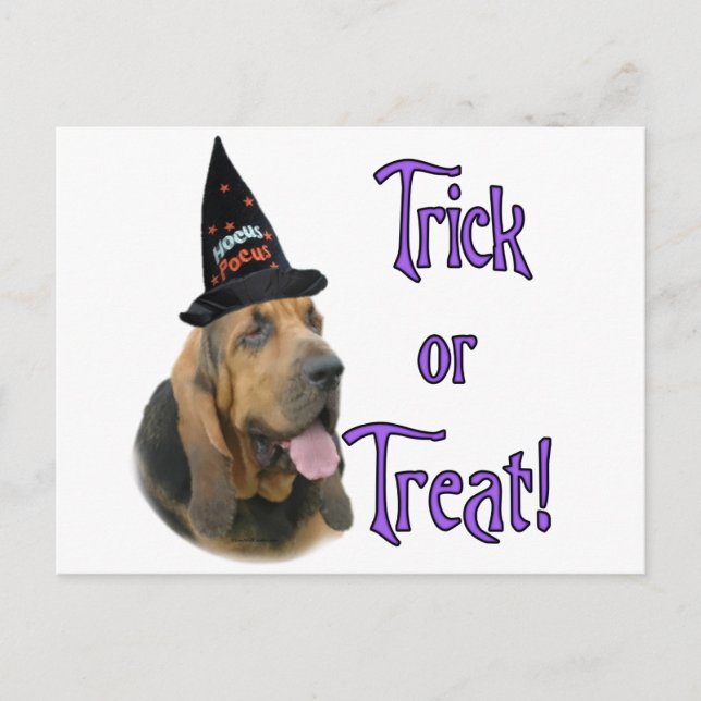 Carte Postale Bloodhound Trick (Devant)