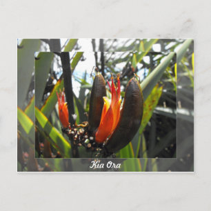 Carte Postale Blossements de lin néo-zélandais