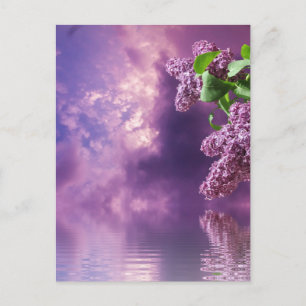 Carte postale Blossom