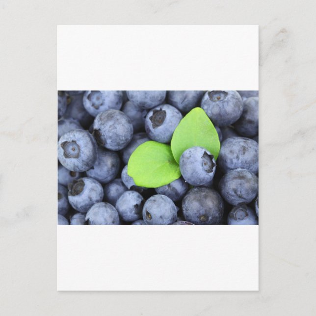 Carte Postale Blue Berries Fruit Peace Love Destiny Party Art (Devant)