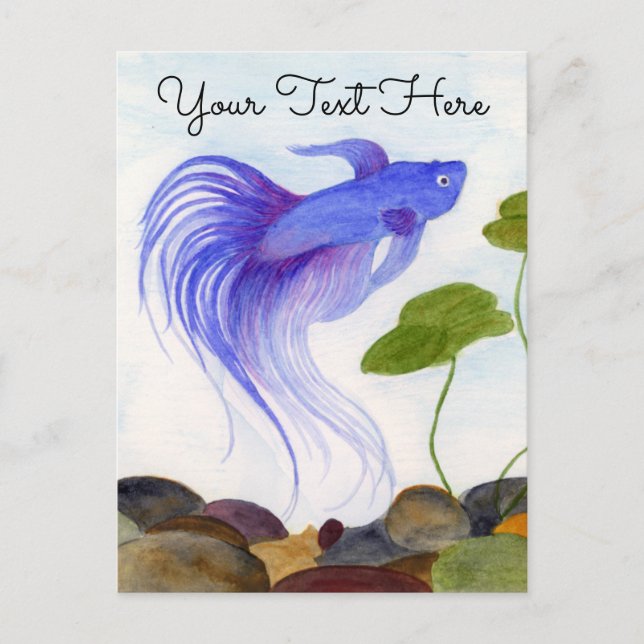 Carte postale Blue Betta Fish (Devant)