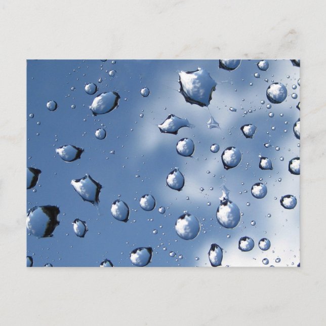 Carte Postale Blue Dew Drop Fibonacci Spiral Nature (Devant)