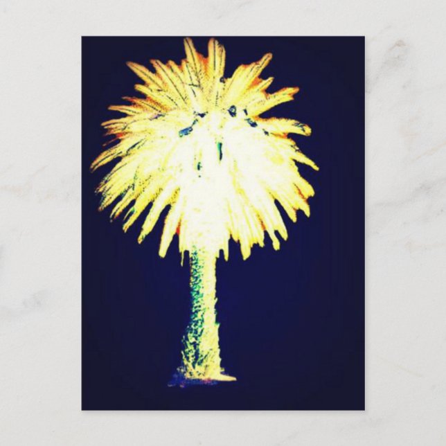 Carte Postale Blue Gold Canary Island Date Palm (Devant)