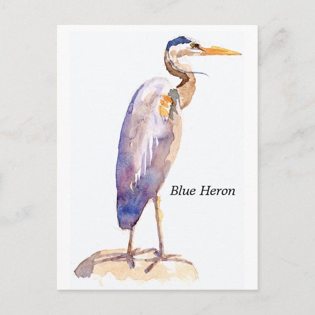 Carte postale Blue Heron (Devant)