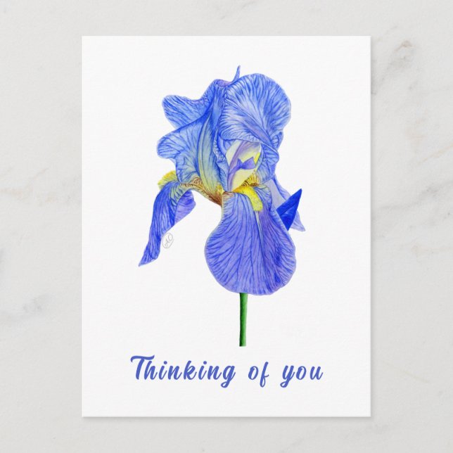 Carte postale Blue Iris Pensées pour toi (Devant)