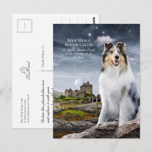Carte Postale Blue Merle Rough Collie à Eilean Donan Castle - (Devant / Derrière)