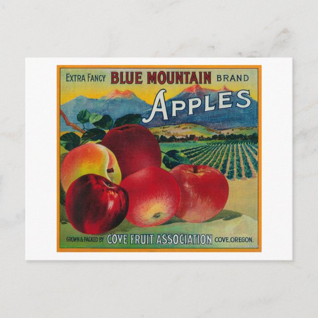 Carte Postale Blue Mountain Apple Crate LabelCove, OU (Devant)