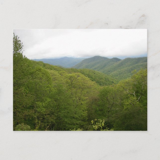 Carte Postale Blue Ridge Mountains, Caroline du Nord (Devant)