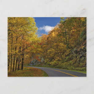 Carte Postale Blue Ridge Parkway courbe à travers les couleurs d