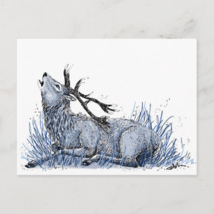 Carte postale Blue Stag