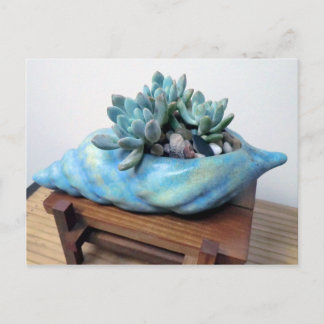 Carte Postale Blue Succulent dans le coquillage par des modèles 