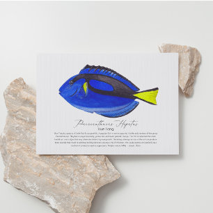 Carte postale Blue Tang Fish