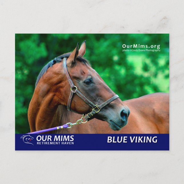 Carte postale Blue Viking (Devant)