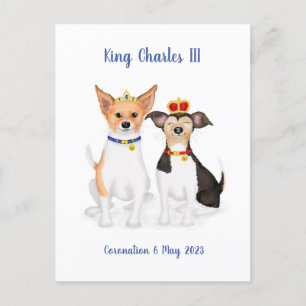 Carte postale Bluebell & Beth Jack Russells Corona