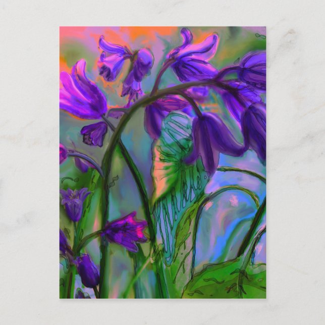 Carte Postale Bluebell Spring (Devant)