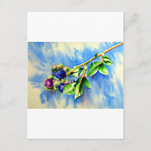 Carte Postale Blueberges