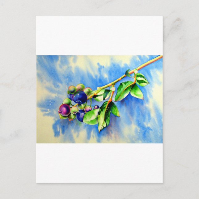 Carte Postale Blueberges (Devant)