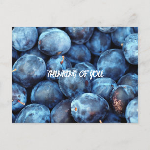 CARTE POSTALE BLUEBERRIES