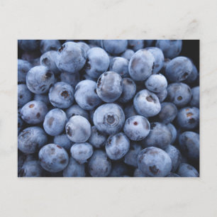 CARTE POSTALE BLUEBERRIES PHOTOGRAPHIE FRUITS SANTÉ