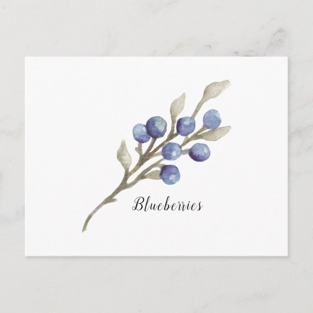 Carte Postale Blueberries sur la Branche (Devant)