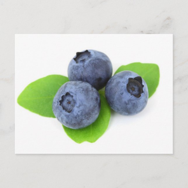 Carte Postale Blueberry (Devant)