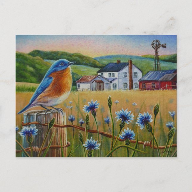 Carte Postale Bluebird Cornflowers Summer Farm Waterart (Devant)