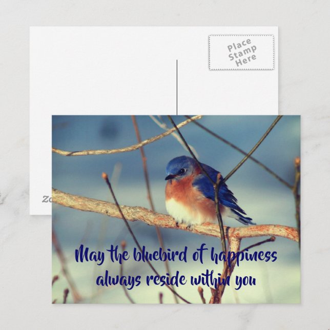 Carte Postale Bluebird Of Happiness Nature (Devant / Derrière)