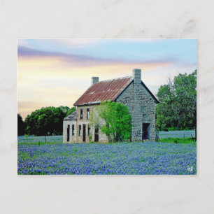 Carte Postale Bluebonnet House, Marble Falls, TX