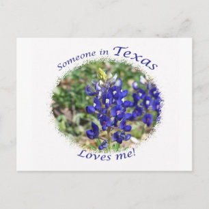 Carte postale Bluebonnet "Quelqu'un au Texas m'aim