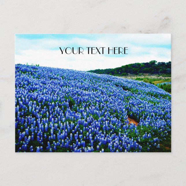 Carte Postale Bluebonnets Blue Flowers Texas texan Floral (Devant)