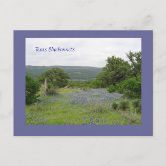 Carte Postale Bluebonnets dans le Texas