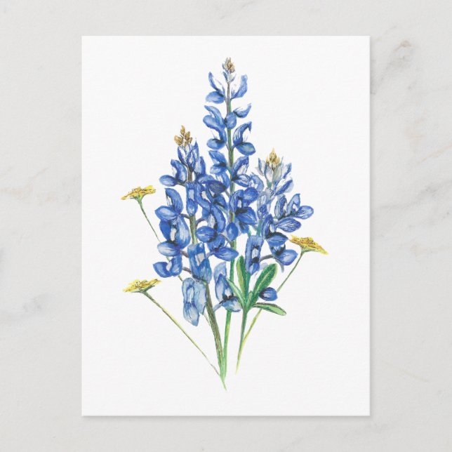 Carte Postale Bluebonnets et Fleurs sauvages (Devant)