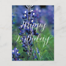 Bluebonnets Fleur de l'État du Texas Anniversaire 