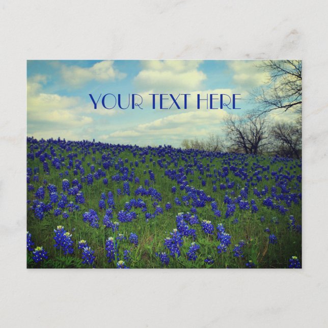 Carte Postale Bluebonnets Fleurs Bleues Texas Texan Floral (Devant)